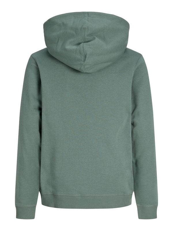 Jack & Jones Jr Norrebro Sweat Hood - Laurel Wreath