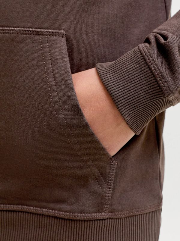 Jack & Jones Jr Norrebro Sweat Hood - Java