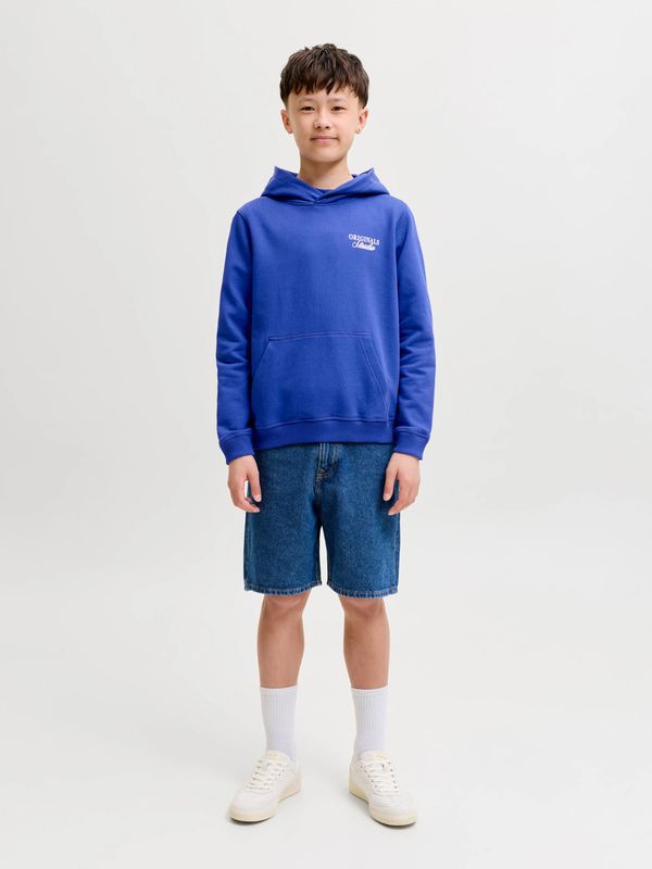 Jack & Jones Norrebro Sweat Hood - Bluing